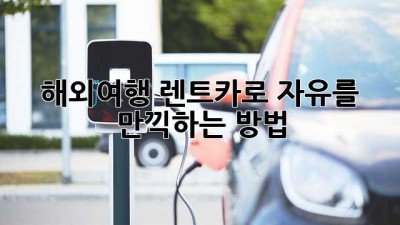 해외여행🚗💨 렌트카로 자유를 만끽하는 방법!