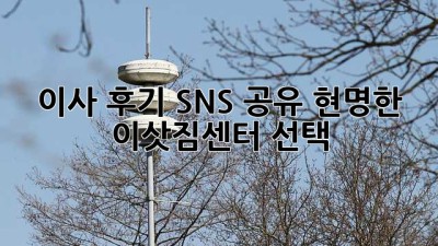 이사 후기 SNS 공유: 현명한 이삿짐센터 선택